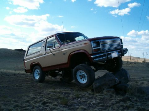 1985 Ford Bronco - poser 3