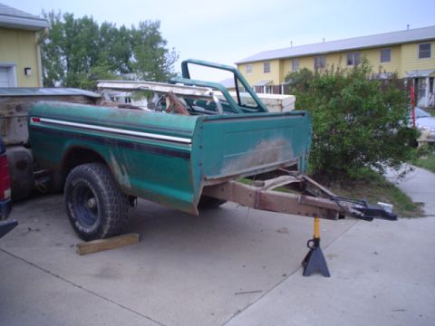 1981 Ford Bronco - the whole thing.