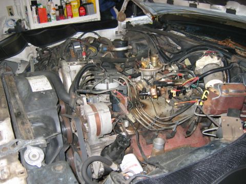 1985 Ford Crown Victoria LTD - Engine bay of a V8 vehicle, showing the engine, alternator, and radiator with many wires and hoses.
