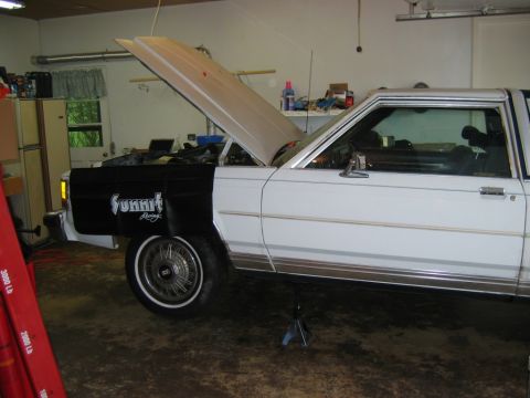 1985 Ford Crown Victoria LTD - A white Ford Crown Victoria is parked in a garage with its hood open and a black fender cover.