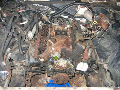 1985 Ford Crown Victoria LTD - The engine bay of a vehicle, showing a V8 engine covered in grime and rust, with many hoses and electrical wires visible.