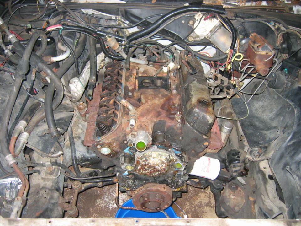 Engine bay with V8 engine and numerous hoses and wires