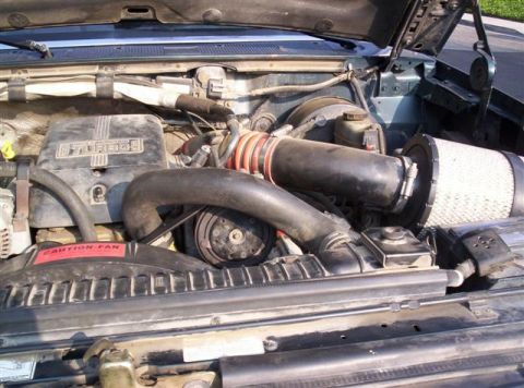 1995 Ford F-250 - Engine bay view of a 1995 Ford F-250, highlighting the 7.3L Power Stroke turbo diesel.