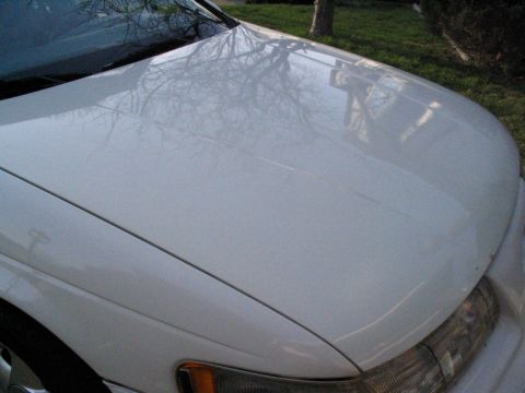 1993 Ford Taurus - White 1993 Ford Taurus hood and fender with tree reflections.