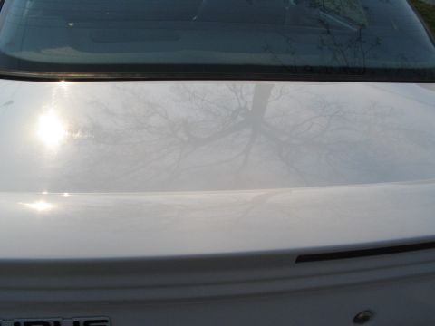 1993 Ford Taurus - The rear of a white 1993 Ford Taurus shows a reflection of bare tree branches on its trunk lid.