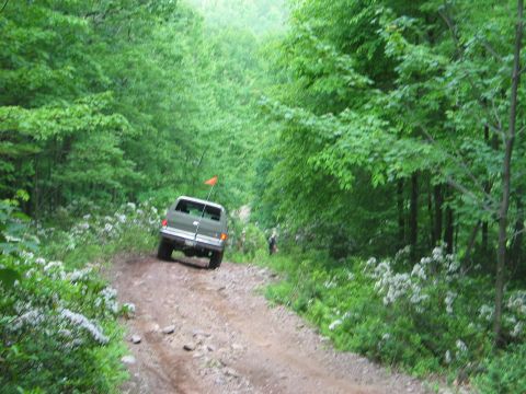 1995 Ford Bronco - Pickup truck navigates a wooded dirt road, an orange flag visible on its antenna.