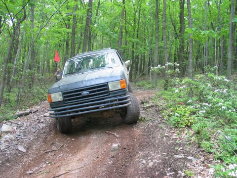 1995 Ford Bronco - Head-on front view of a lifted dark green Ford Bronco flexing over a rutted dirt trail in green hardwood woods, wearing mud-caked oversized…