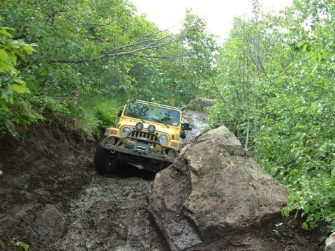 2000 Jeep Wrangler - A yellow Jeep Wrangler tackles a challenging off-road course, surrounded by lush green trees and large rocks.