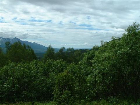 2000 Jeep Wrangler - Expansive view of mountains and lush green foliage under a dramatic cloudy sky.