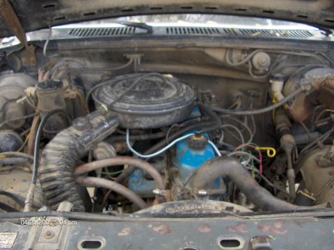 1984 Ford Bronco photo