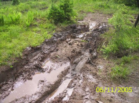 1995 Ford Bronco - A rutted, water-filled mud trail cut through green brush and ferns, churned by tire tracks, with a '06/11/2005' date stamp in the corner.