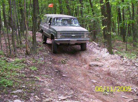 1995 Ford Bronco - A Chevrolet K5 Blazer navigates a wooded trail, with a date stamp of 06/11/2005 visible.