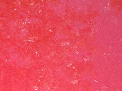 1998 Ford Taurus - Close-up of red paint surface showing specks and discoloration.