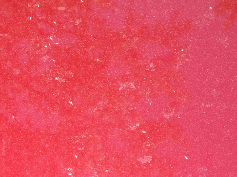 close-up of red paint with white specks and discoloration