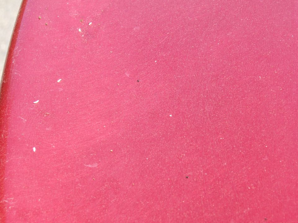 close up of a red car door with some dust and scratches