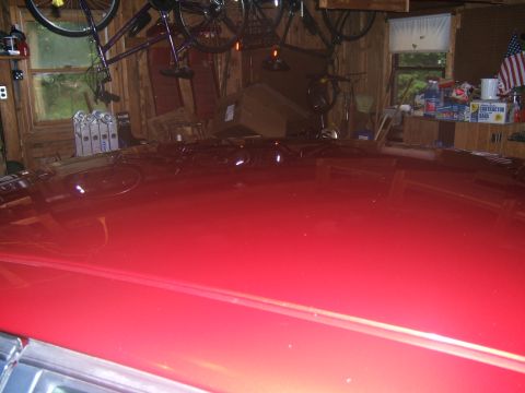 1998 Ford Taurus - The reflection on the car's hood shows bicycles hanging from the ceiling in a cluttered garage.