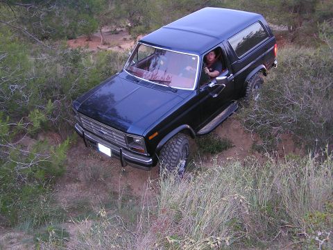 1986 Ford Bronco photo