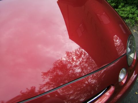 1998 Ford Taurus - The glossy surface of a red car reflects the surrounding environment, including trees and a building.