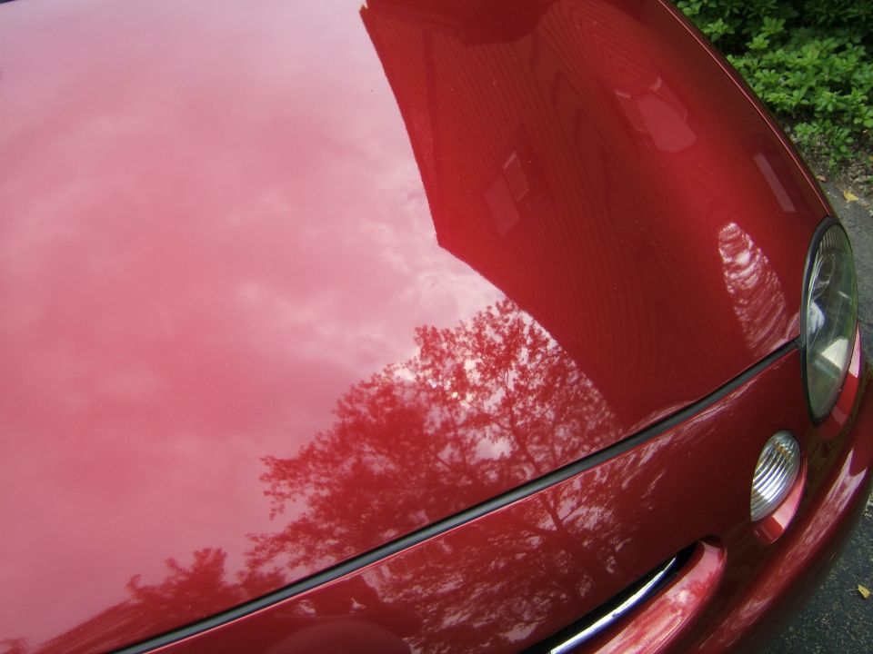 Reflection of trees and a building on a shiny red car hood