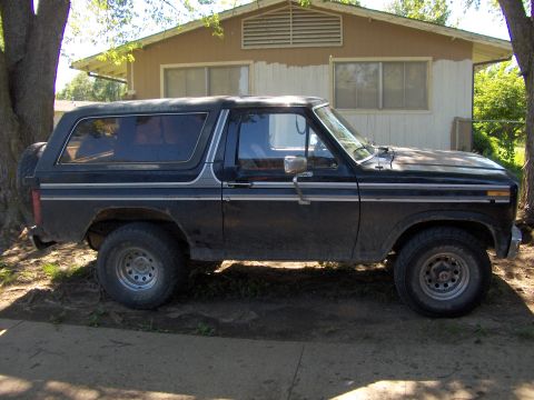 1984 Ford Bronco photo