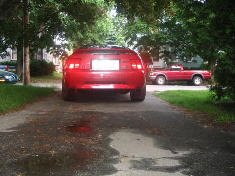 2000 Ford Mustang photo