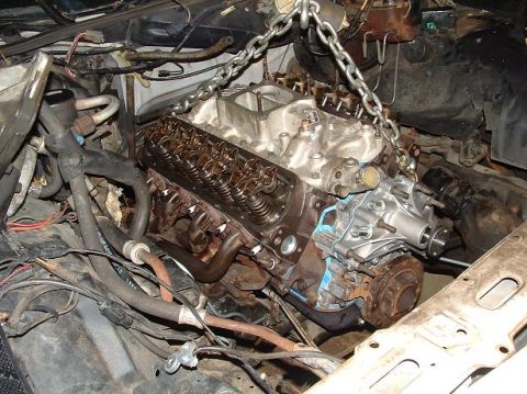 1985 Ford Crown Victoria LTD - Engine bay with engine being lifted by a chain hoist, showing various hoses and wiring.