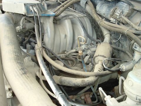 1989 Ford Bronco - Close-up view of a vehicle's engine bay, showing various hoses, wires, and engine components.