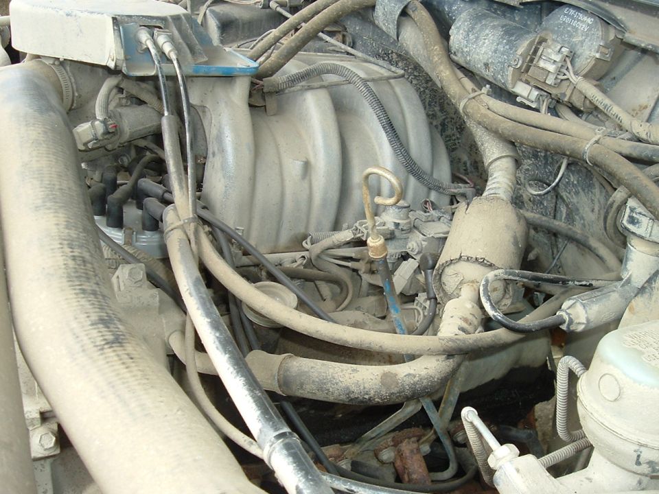Engine bay with distributor cap and spark plug wires visible