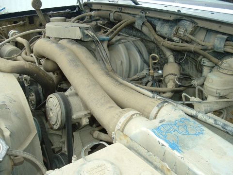 1989 Ford Bronco - Close-up of an engine bay with prominent hoses and belts, a blue decal is visible on the radiator shroud.
