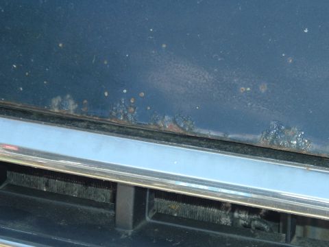 1989 Ford Bronco - Close-up of a blue vehicle's body panel showing significant rust damage along the edge above the grille.