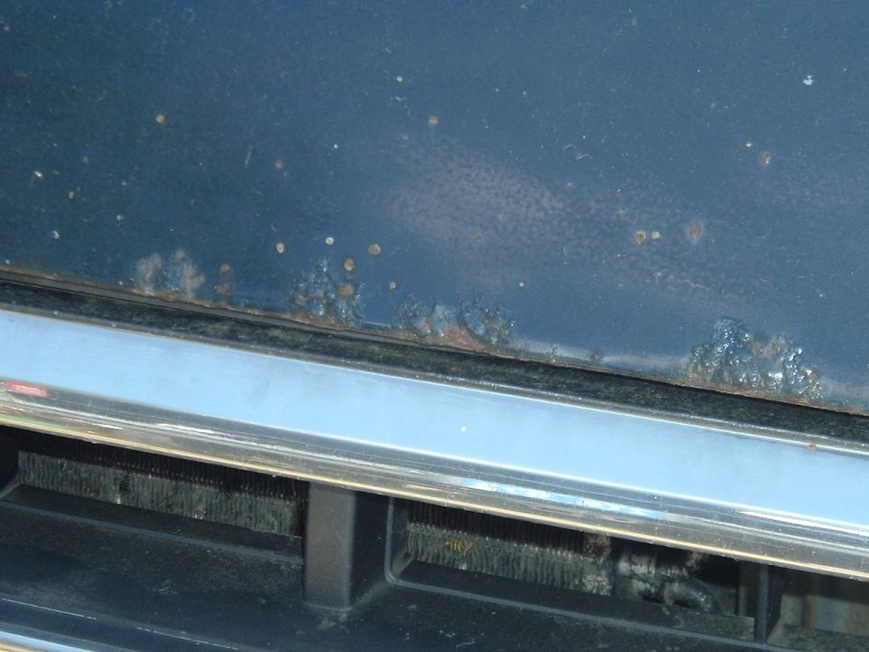 Rusted blue car body panel above chrome trim and grille