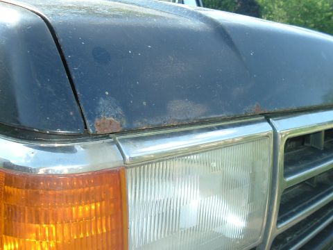 1989 Ford Bronco - Hood and front corner of a 1989 Ford Bronco, showing rust damage.