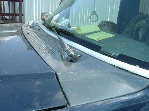 1989 Ford Bronco - Close-up of a car's front exterior, showing the hood and windshield area with interior items visible.