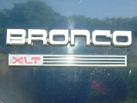 1989 Ford Bronco - 2 sets of these.