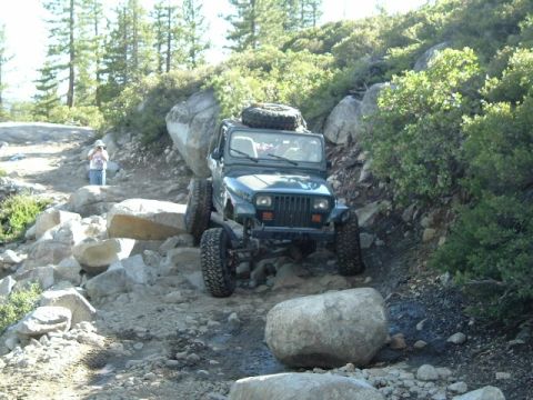 1989 Ford Bronco - greg