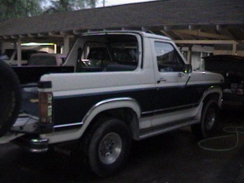 1986 Ford Bronco “my toy”