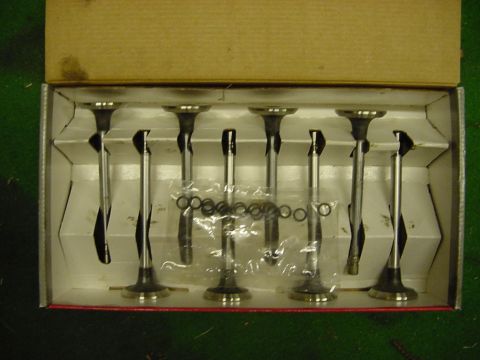 1989 Ford Bronco - A box containing multiple engine valves and small circular retainers, likely for an automotive repair.