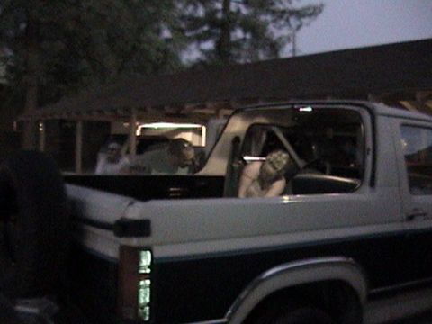 1986 Ford Bronco photo