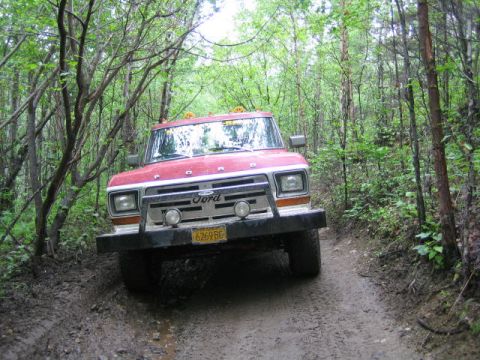 1979 Ford F-150 photo