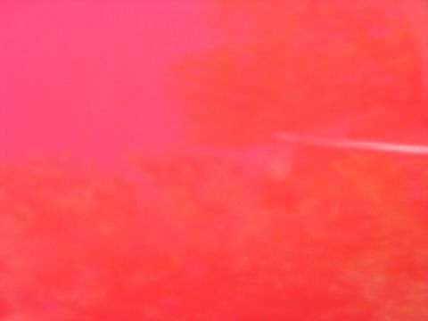 1997 Ford Taurus - A blurry red car is visible with a white stripe along its side, under a pinkish-red sky.