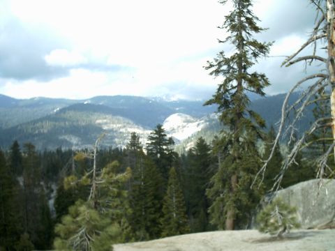 1989 Ford Bronco - A scenic view of the Bald Mountain Sierras, dense pine forests and distant snow-covered mountains.