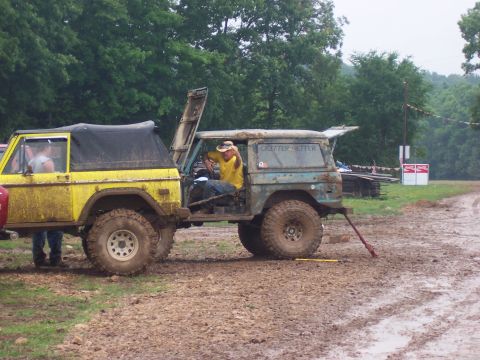 1978 Ford Bronco - Herm