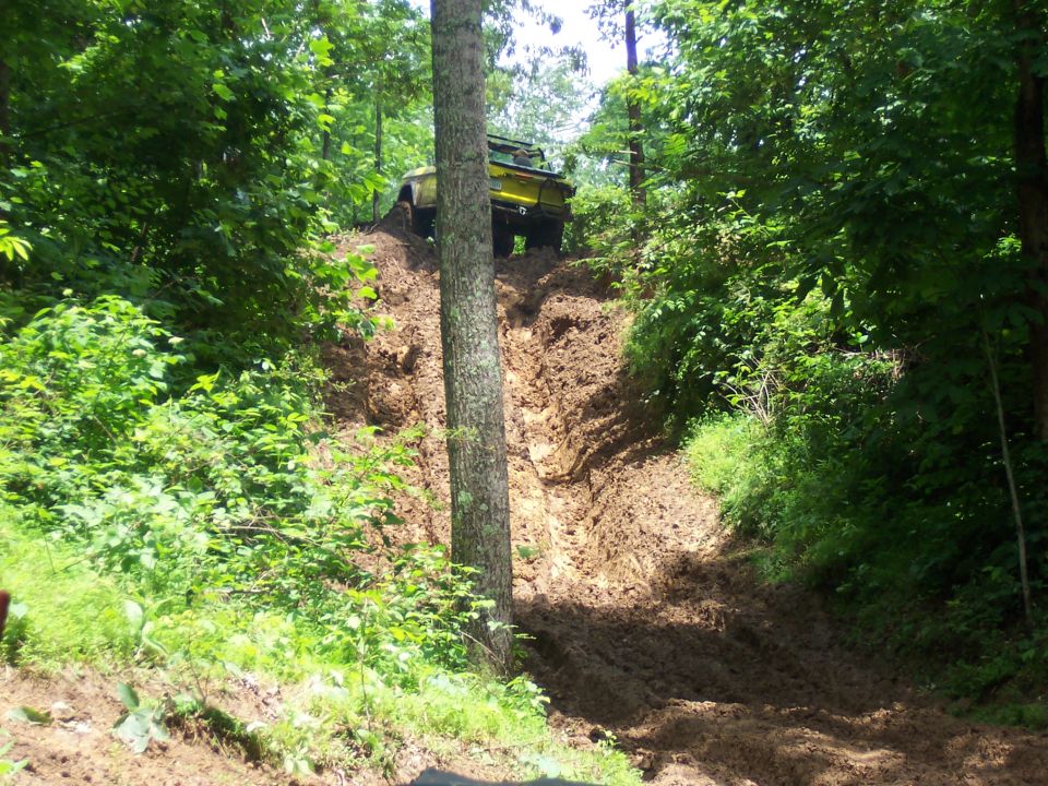 Yellow 4x4 climbing a steep eroded dirt hill in the woods, large tree in the foreground