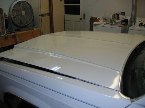 1985 Ford Crown Victoria LTD - Close-up of a white car hood with a black stripe and blue pinstripe on the fender.
