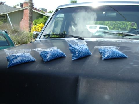 1989 Ford Bronco - Several bags filled with blue spherical objects are placed on the hood of a vehicle, with other cars and houses in the background.