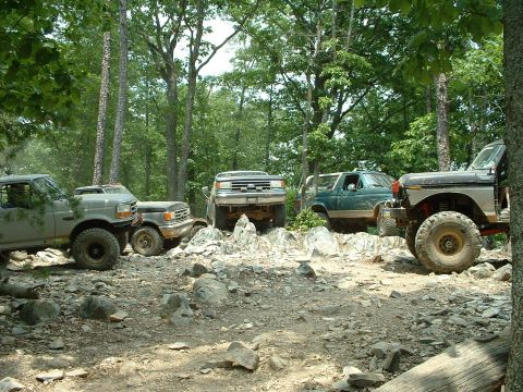 1985 Ford Bronco - Group shot, minus one jeep
