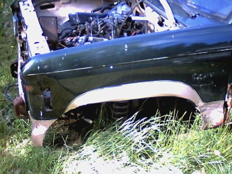 1987 Ford Bronco II - The front fender and engine compartment of a dark green 1987 Ford Bronco II are visible, partially obscured by tall grass.