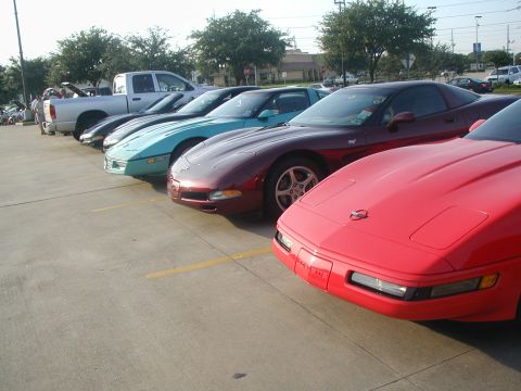 2000 Ford Crown Victoria - A line of Corvettes, mostly C4 generation, are parked in a lot on a sunny day.