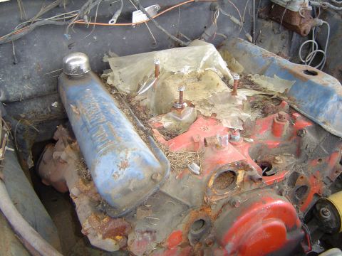 1972 Ford F-100 - The engine compartment shows signs of disuse and rust, with debris covering parts of the engine.
