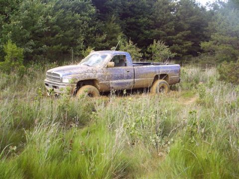1986 Ford F-250 “tug nut”